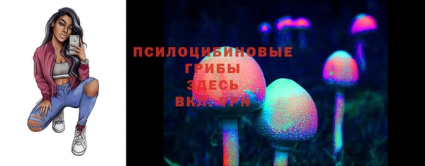 гидропоника Осташков